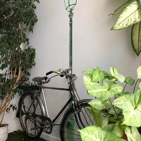 Living Lounge * Lissabon